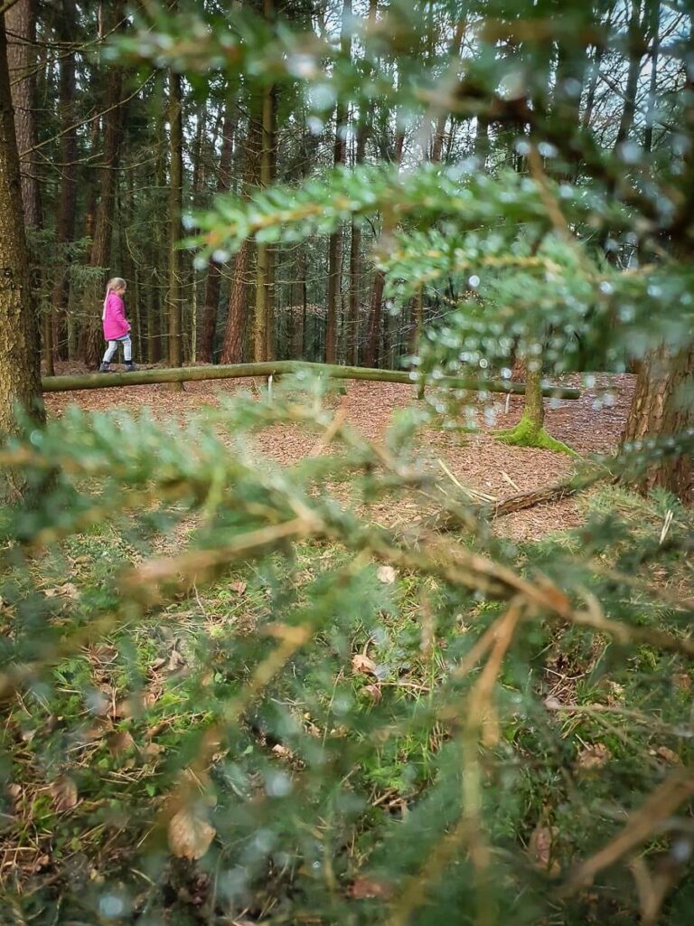 Kind im Wald